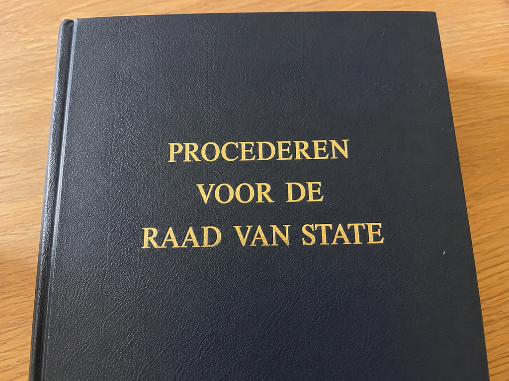 PROCEDEREN VOOR DE RAAD VAN STATE