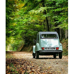 AUTOFISCALITEIT IN 2026 : WIE KENT DE REGELS NOG NA DE WETSWIJZIGINGEN